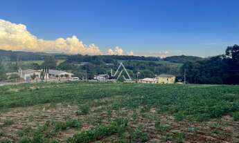 Imagem 6: TERRENO RS 324 - 1 HA