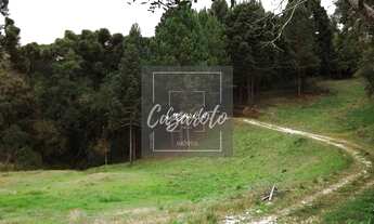 Imagem 4: Fazenda para Venda em Tunas do Paraná com nascente as margens da Estrada da Ribeira