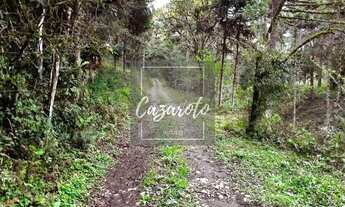 Imagem 3: Fazenda para Venda em Tunas do Paraná com nascente as margens da Estrada da Ribeira