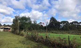 Imagem 4: Sítio no bairro Capão Alto em São Francisco de Paula!