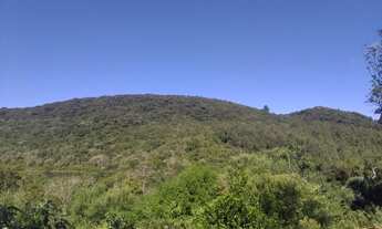 Imagem 7: Chácara 4 hectares com galpão e cascata em Riozinho, RS