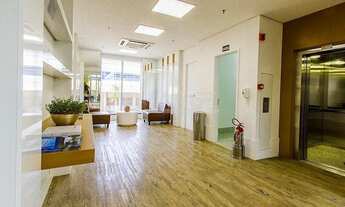 Imagem 7: Galpão - Vila San Martin - Campinas