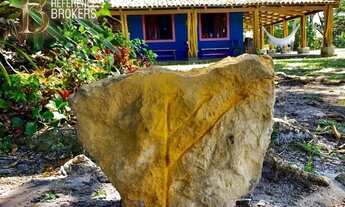 Imagem 7: Fazenda de Cacau e Coco CANAVIEIRAS - BA