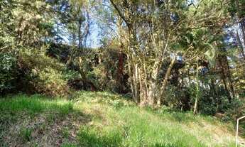 Imagem 4: Terreno à venda, 1000 m² por R$ 1.100.000,00 - São Paulo II - Cotia/SP