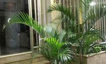 Imagem 2: ALUGO APARTAMENTO NO FLAMENGO, RUA ÓTIMA!!! CALMA, ENTRE AS PRINCIPAIS DO BAIRRO. APT COM