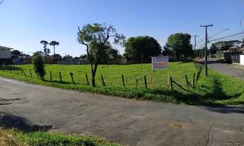 Imagem: Terreno - Santa Felicidade