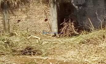 Imagem 7: Metro Conceição. Terreno área 1254 m2 Região de comércio e serviços