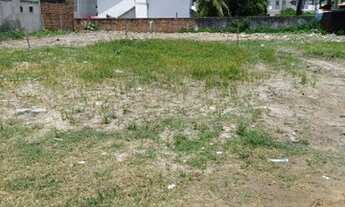 Imagem 3: Lotinhos/fração de 50 metros quadrados