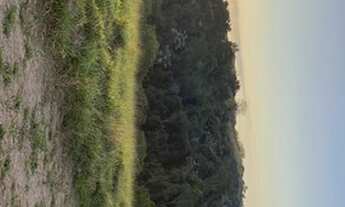 Imagem 3: Lindos lotes pra sua chácara