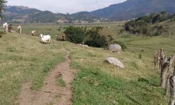 Imagem 5: Linda Área de 15,5 Hectares Imaruí