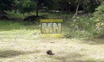 Imagem 6: Camaçari - Chácara - Vila de Abrantes (Abrantes