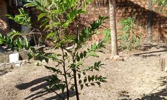 Imagem 3: Uma casa mais três quitinet