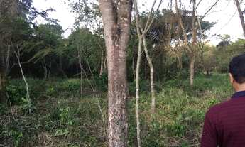 Imagem 5: Chácara em bela vista de goias