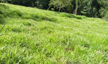 Imagem 6: Fazenda 103 Alqueires em Minas Gerais