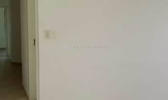 Imagem 6: Excelente Galpão e Salas amplas