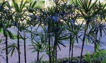 Imagem 3: Lote no condomínio Damha, Barra dos Coqueiros&gt