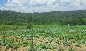 Imagem 4: O /26* Hoje temos as últimos unidades venha conferir !!