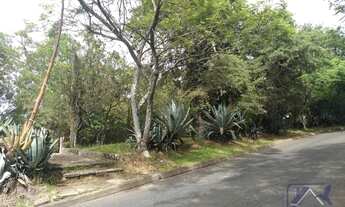 Imagem 4: Porto Alegre - Terreno Padrão - Belém Novo