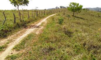 Imagem 6: Terreno 22 Hectares em Desterro de Entre Rios MG
