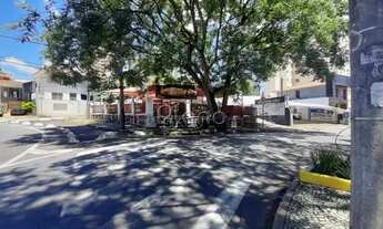 Imagem 5: Terreno - Cambuí - Campinas