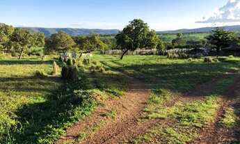 Imagem 2: . Uma Fazenda 307 Alqueires município de Monte do Carmo Tocan