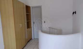 Imagem 5: Locação de Apartamentos / Kitnet na cidade de Araraquara