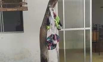 Imagem 2: Vendo casa em São José da coroa grande