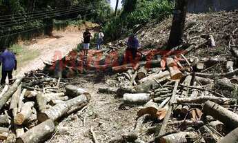Imagem 3: Terreno em Serra Da Cantareira