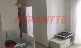 Imagem 2: Apartamento de 55m² com 2 quartos em Vila Amalia