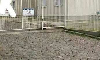 Imagem 3: Apartamento para Venda - 54.66m², 2 dormitórios, 1 vaga - Restinga, Porto Alegre