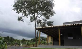 Imagem 4: Chacara 30 km de Goiânia