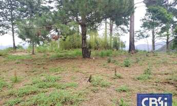 Imagem 11: Terreno à venda, 1.690.000 m² por R$ 90.000.000 - Itaipava - Petrópolis/RJ