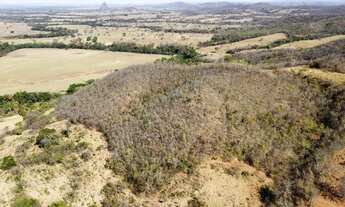 Imagem 5: Excelente Fazenda no Município de Unaí-MG com 125 hectares
