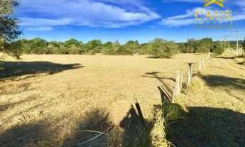 Imagem 3: Terrenão 1000m², plano, luz na frente!!!
