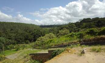 Imagem 2: Lote 1.015m2 - Praia Grande