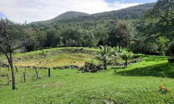 Imagem 3: Fazenda de 20 alqueires em Goiás Velho-GO
