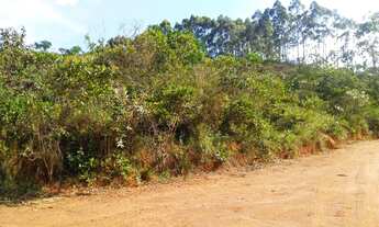 Imagem 7: Terreno 22 Hectares em Desterro de Entre Rios - MG
