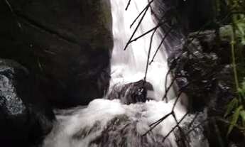 Imagem 6: Imóvel rural com cachoeiras e ótimo acesso