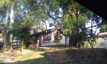 Imagem: Térrea para venda tem 250 metros quadrados