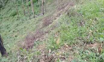 Imagem 4: Imóvel rural com cachoeiras e ótimo acesso