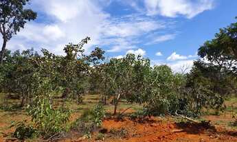 Imagem 2: Fazendinhas Planas com Terra para Plantio por 18.991 mais Pequenas Parcelas