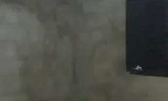 Imagem 7: Casa em Sol nascente trecho 1