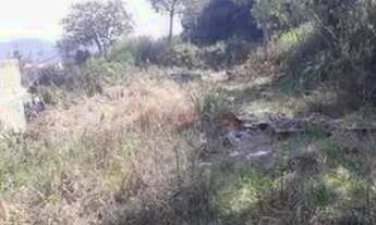 Imagem: Vende-se Terreno em Almirante Tamandaré