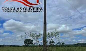 Imagem 3: Fazenda 100 Alqueires Região De Aparecida Do Taboado/MS