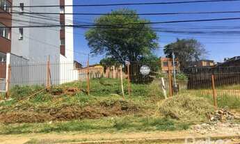 Imagem: PORTO ALEGRE - Terreno Padrão - Tristeza