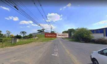 Imagem 3: Área à venda, 14000 m² por R$ 5.300.000,00 - Barigui - Araucária/PR