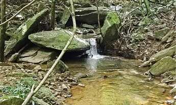 Imagem 6: Fazenda em Perinopolis