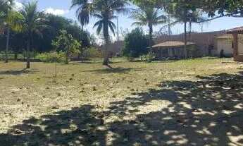 Imagem 5: Chácara junto a Lagoa de Grussaí