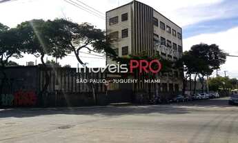 Imagem 7: Prédio, Cambuci - São Paulo