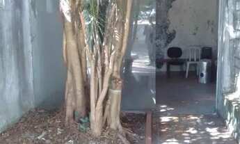 Imagem 2: TERRENO COM CASA ANTIGA PRÓXIMO AO PARQUE VILLA-LOBOS